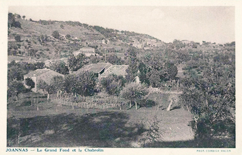 Joannas