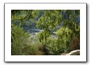17- Vue sur la rivière la beaume du château